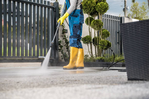 Best Driveway Pressure Washing  in Helemano, HI