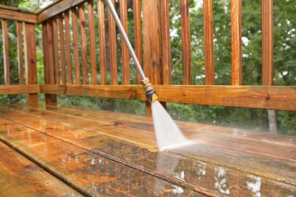 Animal Enclosure Cleaning in Helemano, HI